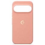 Pixel 11 Pro XL Case Canyon CGY4 5B05