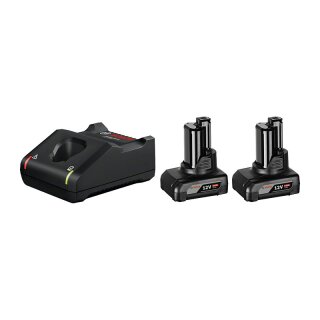 Bosch 2x 6.0Ah. GAL 12V-40 Akku