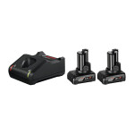 Bosch 2x 6.0Ah. GAL 12V-40 Akku