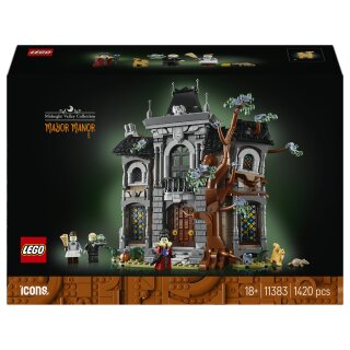 11383 Icons Brgermeistervilla
