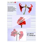 1x100 Olympia Laminierfolien DIN A4 80 micron 9166