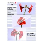 1x100 Olympia Laminierfolien DIN A6 80 micron 9168