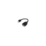 Lenovo Mini-Displayport auf Displayport Adapter