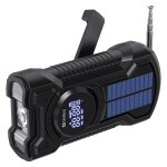 421-03 SANDBERG Survivor Radio AIO