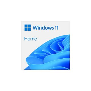 Microsoft Windows 11 Home - Box-Pack - 1 Lizenz - Flash-Laufwerk