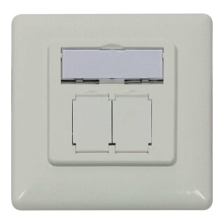 Modulträger, UP Dosen für 2xTP-Modul, Reinweiss, designfähig UAE, Synergy 21,