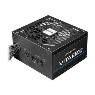 VITA SM3 650W (schwarz, 1x 12-Pin High Power GPU, 2x PCIe, Kabelmanagement, 650 Watt)