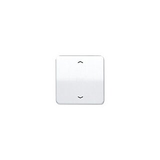 Jung CD 590 P WW instabus Wippe mit Pfeilsymbol