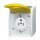 BUSCH JAEGER 3015EWN-53 Busch-Nema-Steckdose 15A ocean IP44 grau/blaugrün
